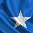 Bandera de Somalia(www.ndf.fr)