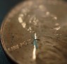 One of the micro windmills pictured on the face of a penny. Researchers say hundreds of the micro electrical mechanical systems could be inserted into the sleeve of a phone and recharge the device. (Credit: WinMEMSTechnologies)